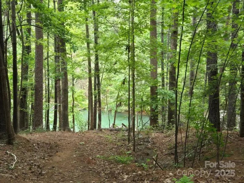 1590 Hawks Pointe Lane, Morganton