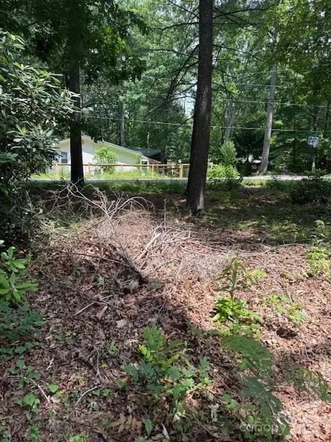 99999 Laurel Lane 2, Black Mountain