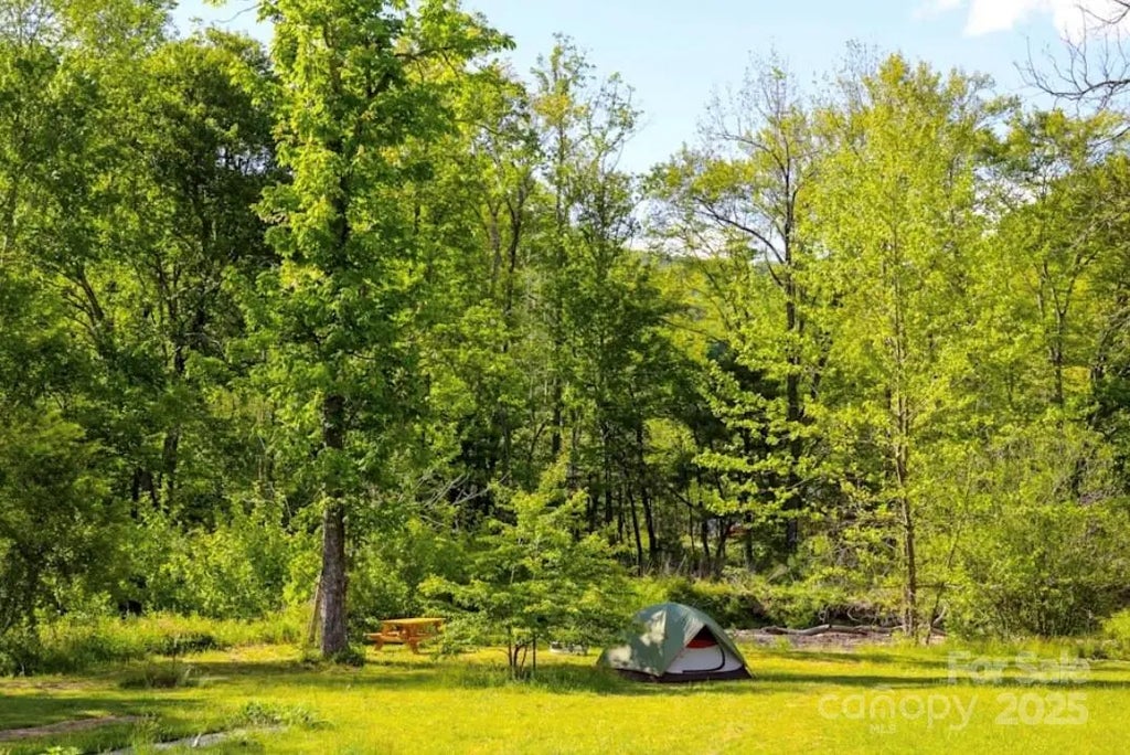 2840 Nc 9 Highway, Black Mountain