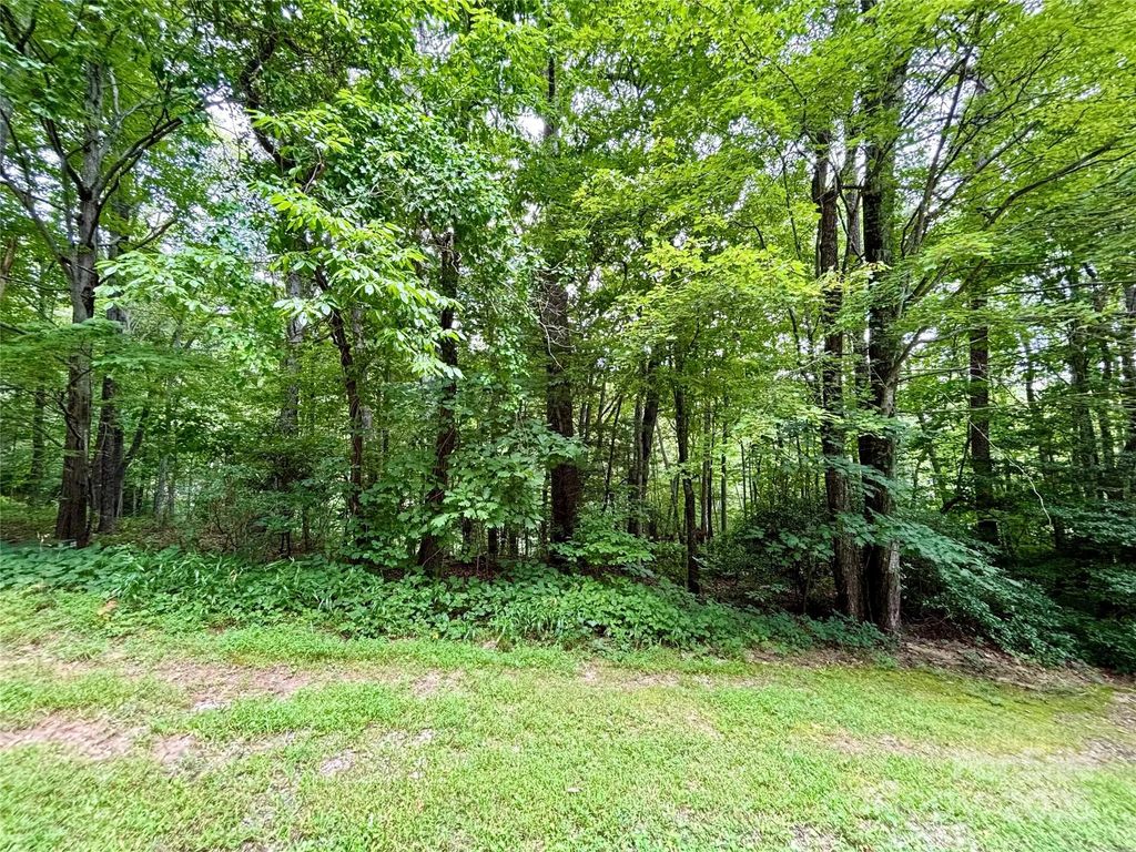 0 Sunlight Ridge Court, Hendersonville