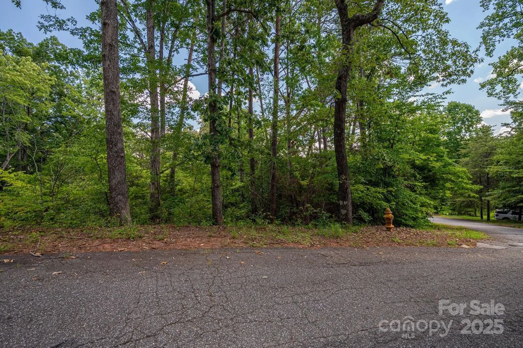 Lot 207 Plantation Drive, Rutherfordton