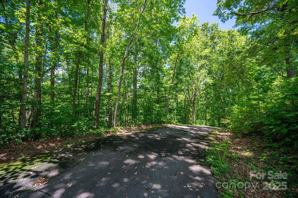 Lot 166 Plantation Drive, Rutherfordton