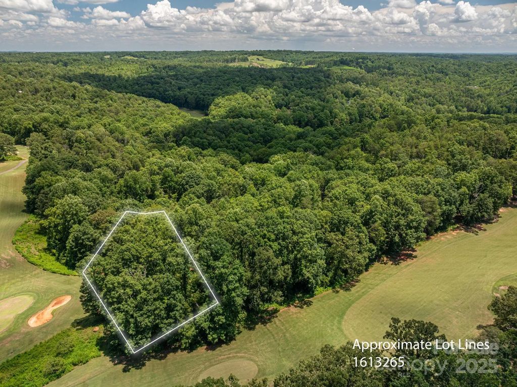 Lot 219 Plantation Drive, Rutherfordton