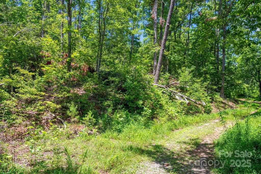 Lot 221 Plantation Drive, Rutherfordton