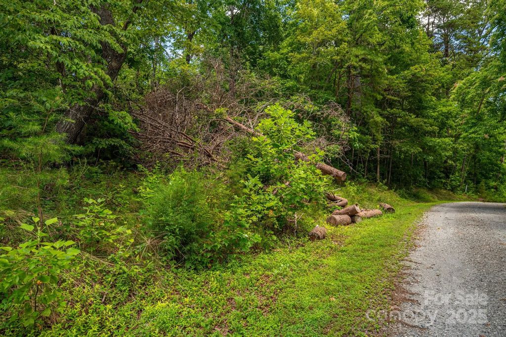 Lot 208 Plantation Drive, Rutherfordton