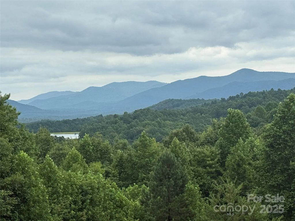 166 Coal Pit Mountain Drive 359, Nebo