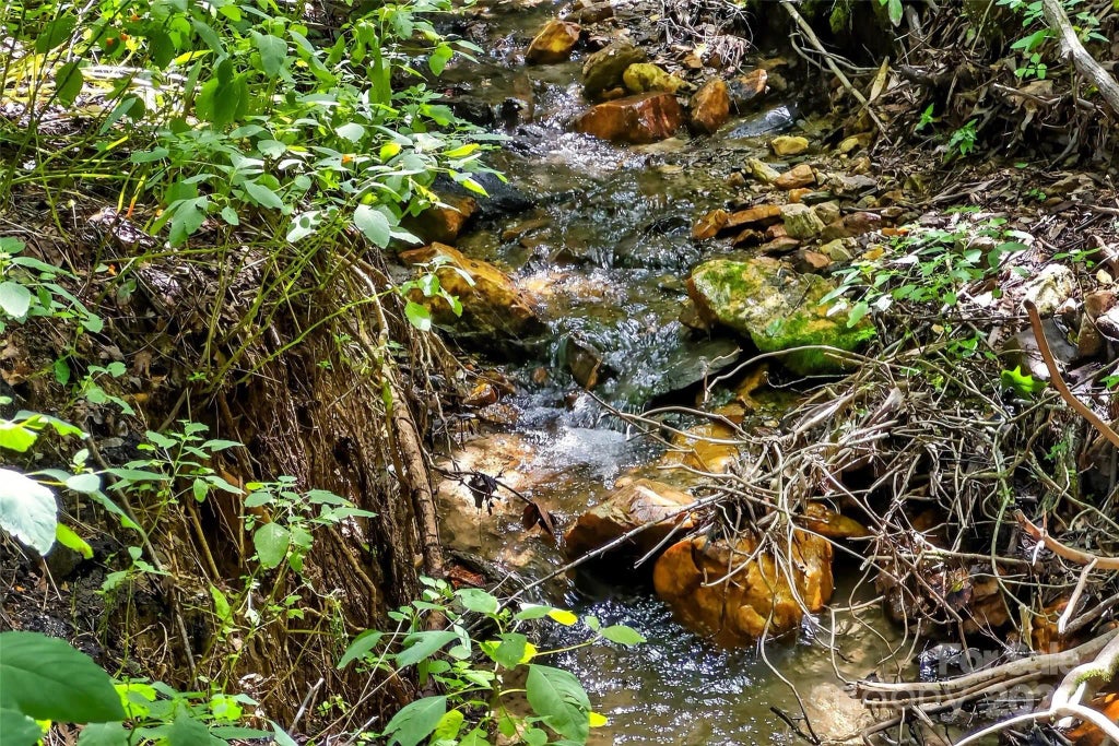 99999 Yates Avenue, Black Mountain