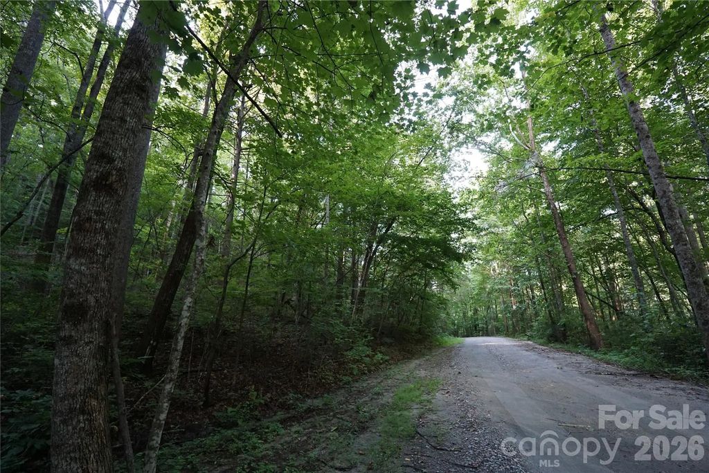 0 S Poplar Drive 162, Lake Lure