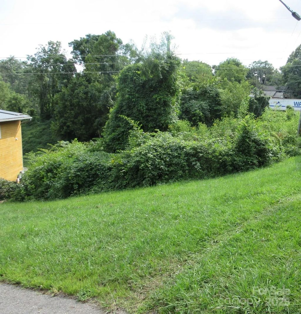 3 N Belgium Lane, Asheville