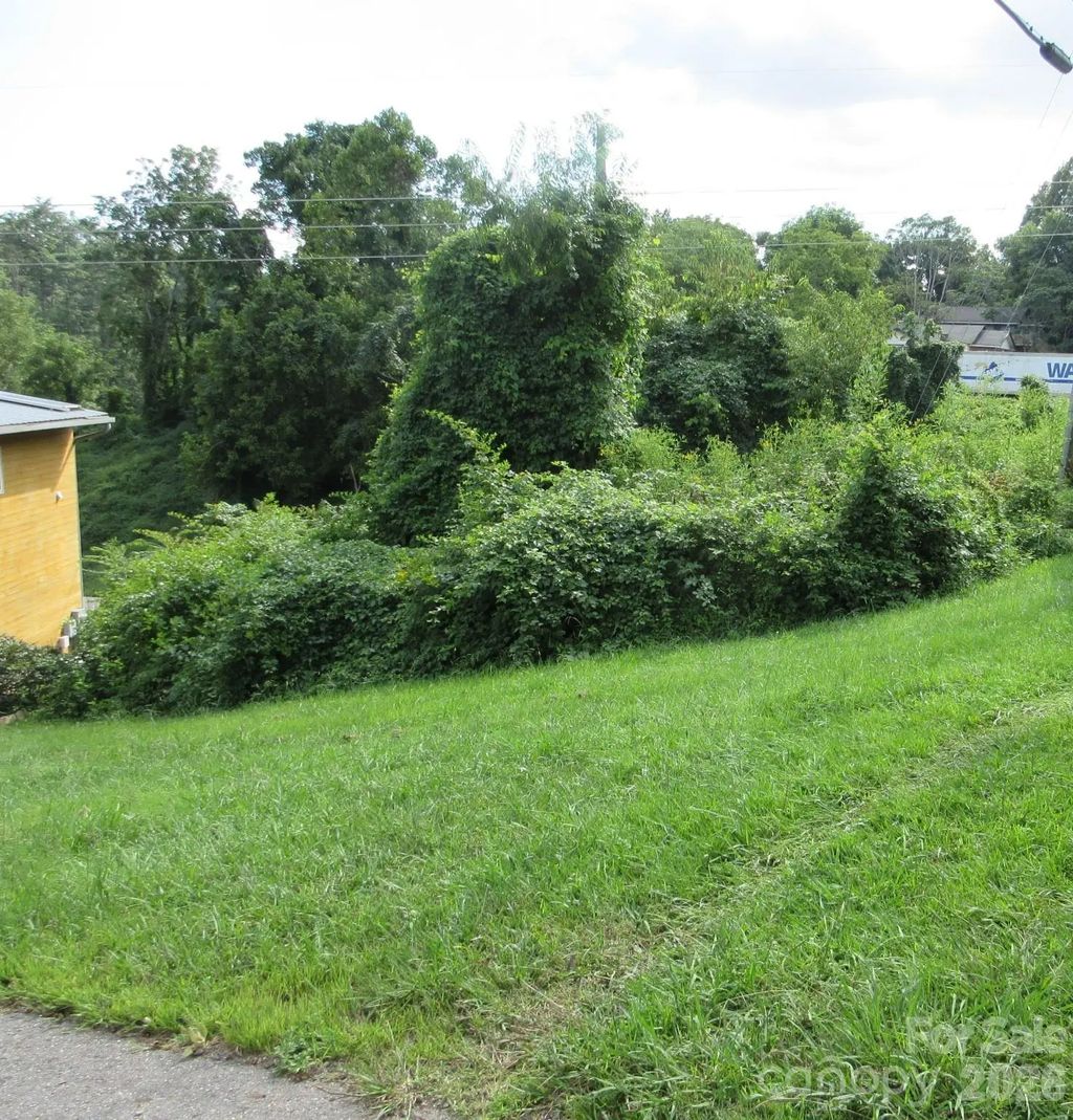 3 N Belgium Lane, Asheville