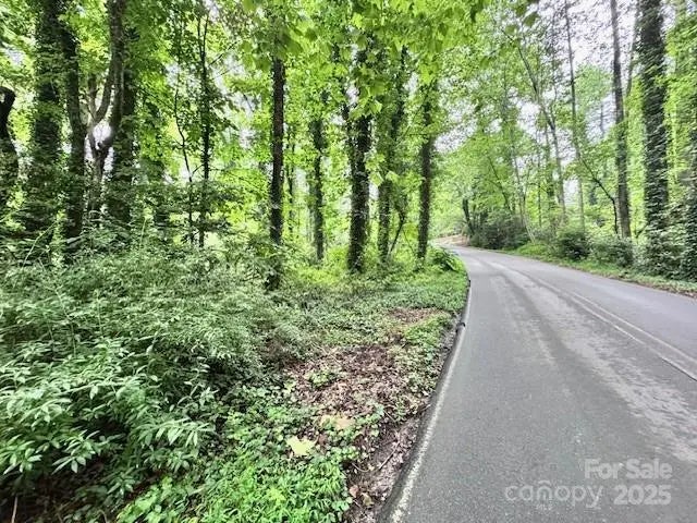 0 Boyd Drive 5, Flat Rock