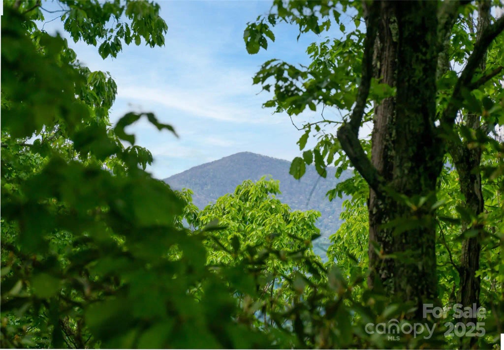 1111 Elm Tree Lane, Swannanoa