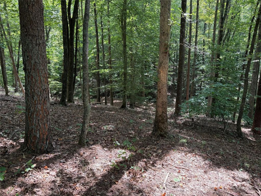 0 Mountain Brook Trail 298, Nebo
