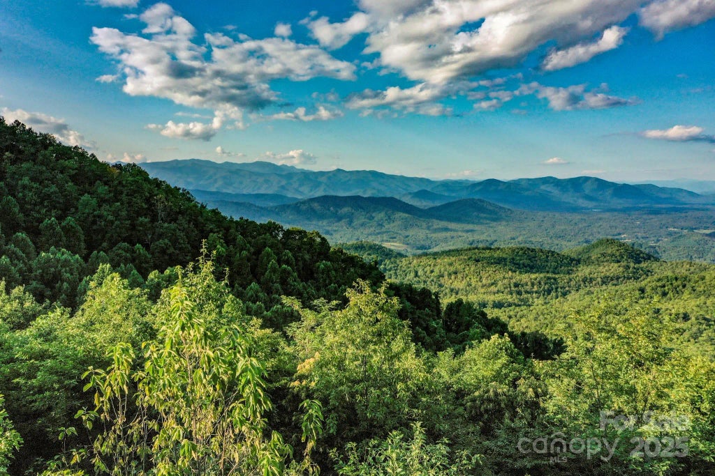 9999 Cliffledge Trail, Black Mountain