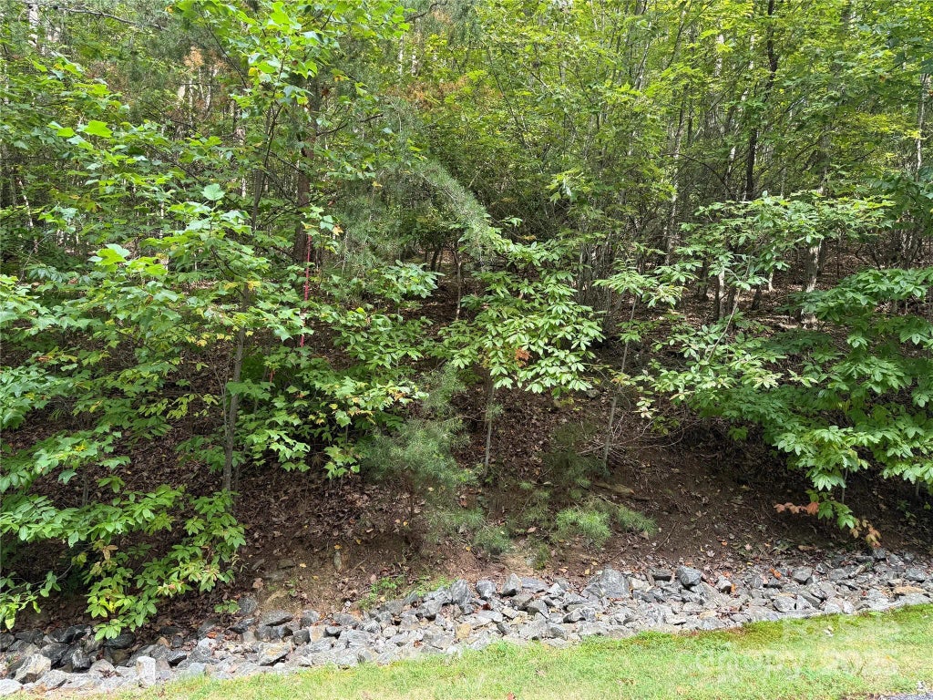 1029 Chippawa Drive 67, Arden