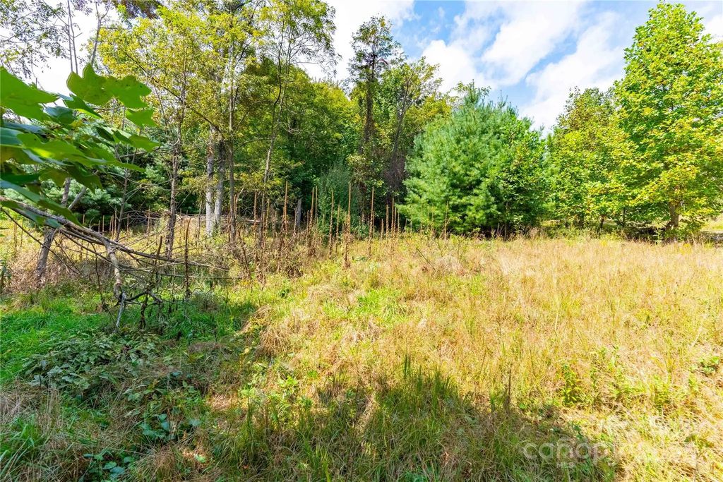 1043 Somersby Parkway, Hendersonville