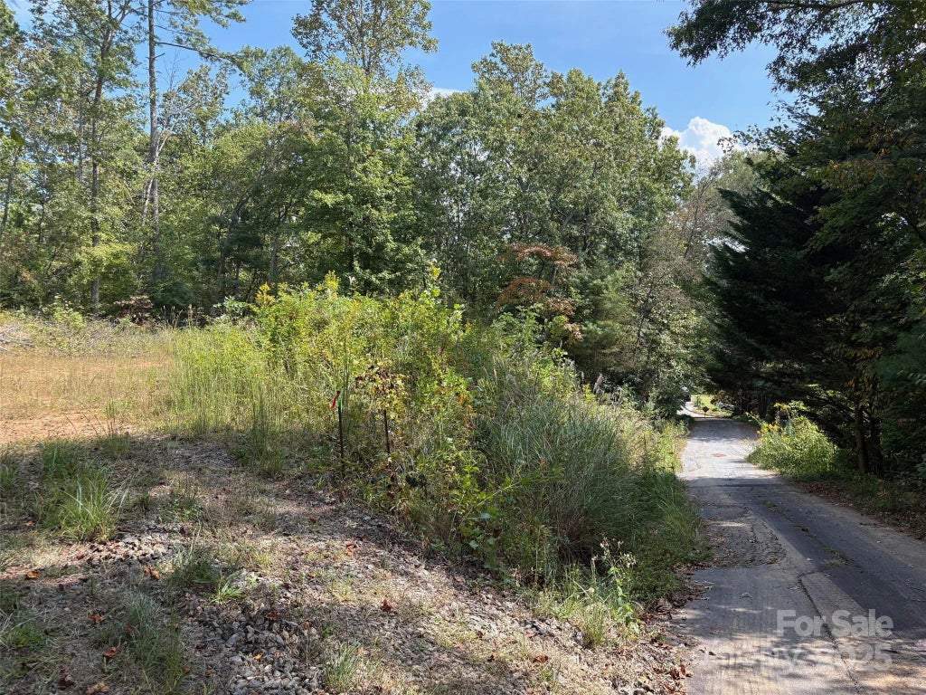 25 W Keesler Street, Black Mountain