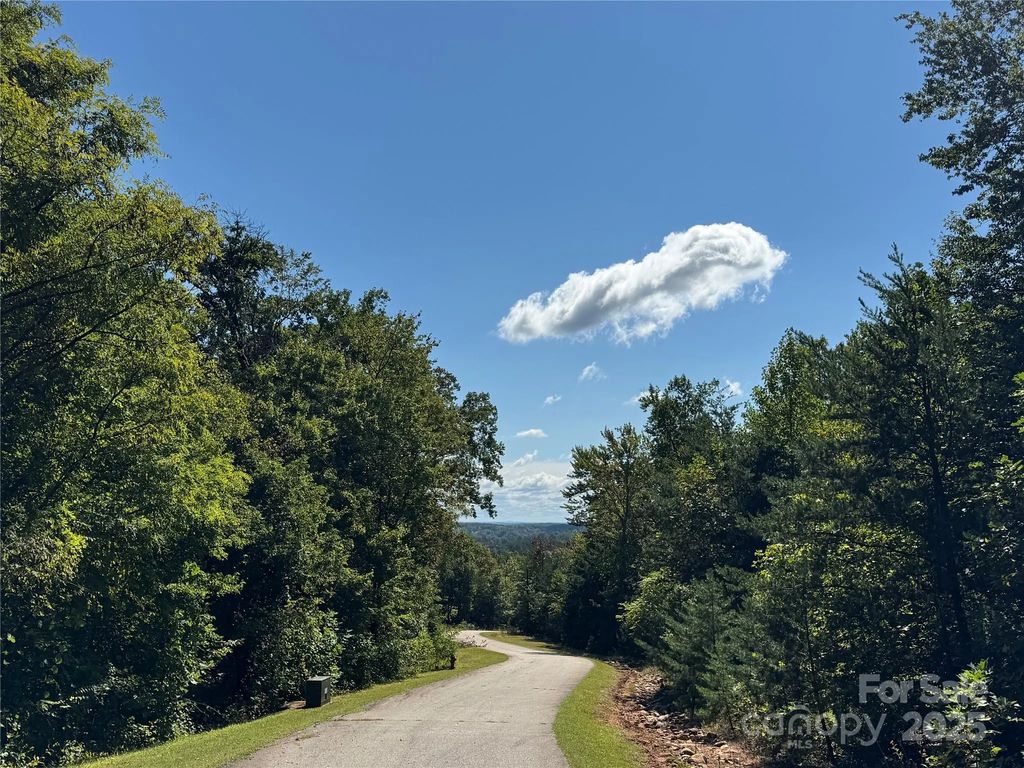 0 Bear Cliff Way 60, Lake Lure