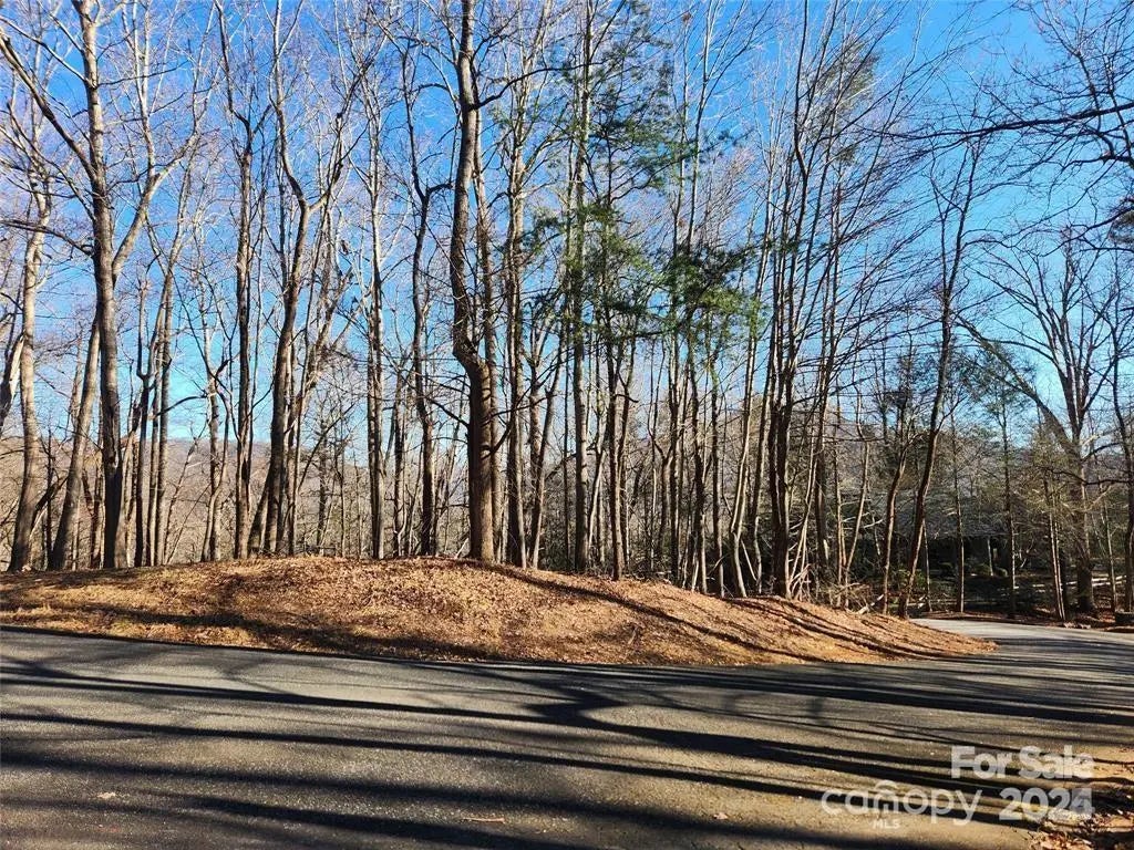 Lot 218 Bolt Road, Lake Lure