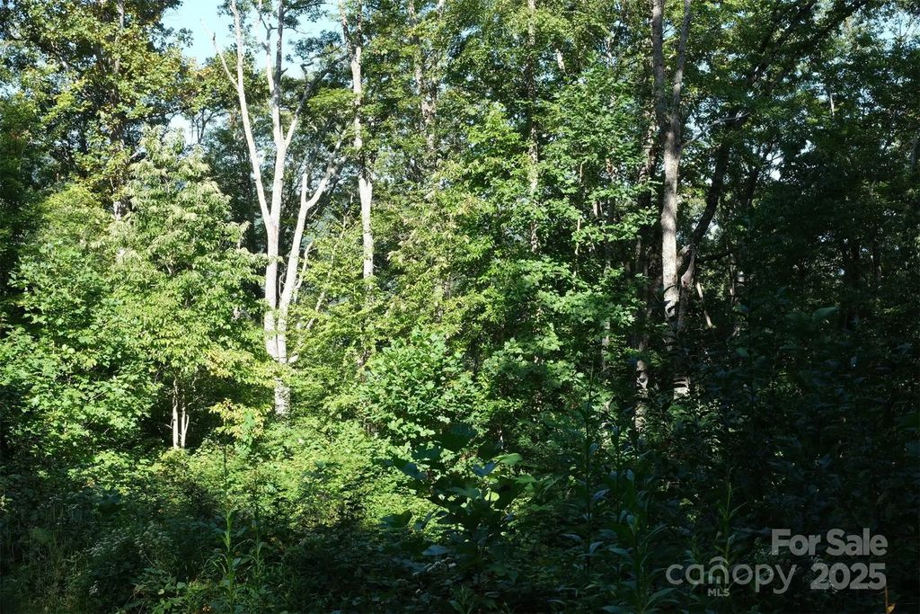 Lot: 12 Caperton Point Road 12, Swannanoa