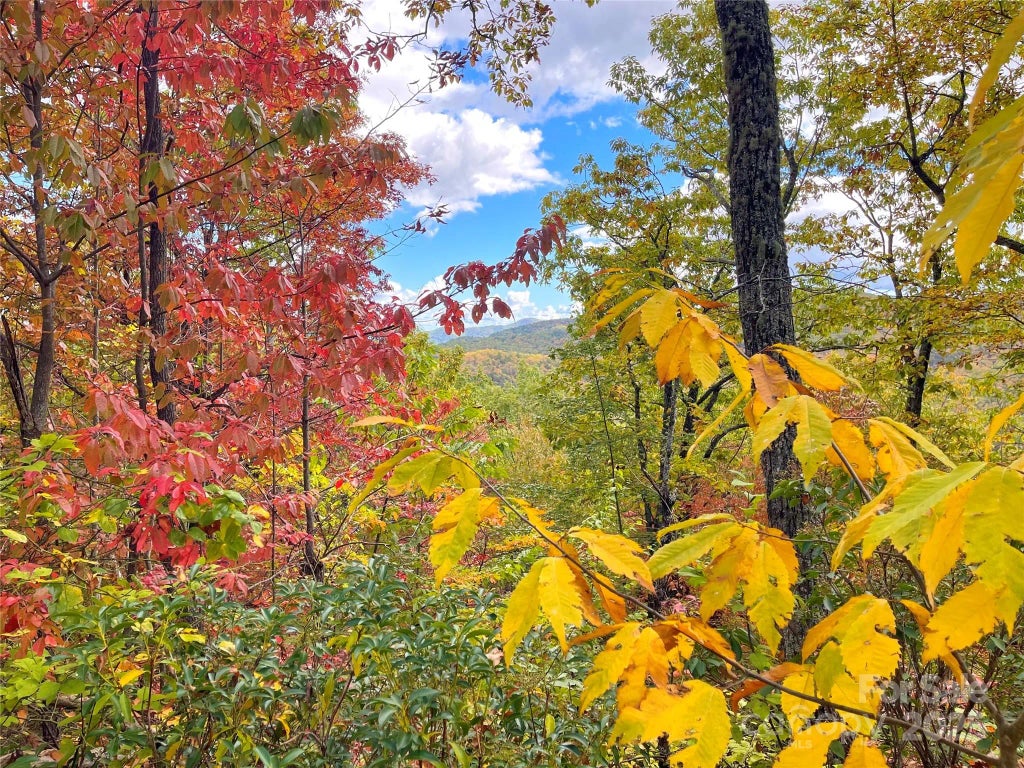 57 Grouse Ridge Drive, Black Mountain