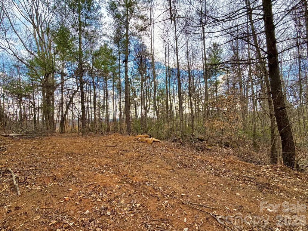 2800 Snipes Street 3, Morganton