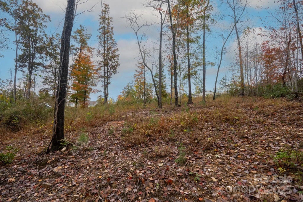 269 Mooseheart Road, Nebo