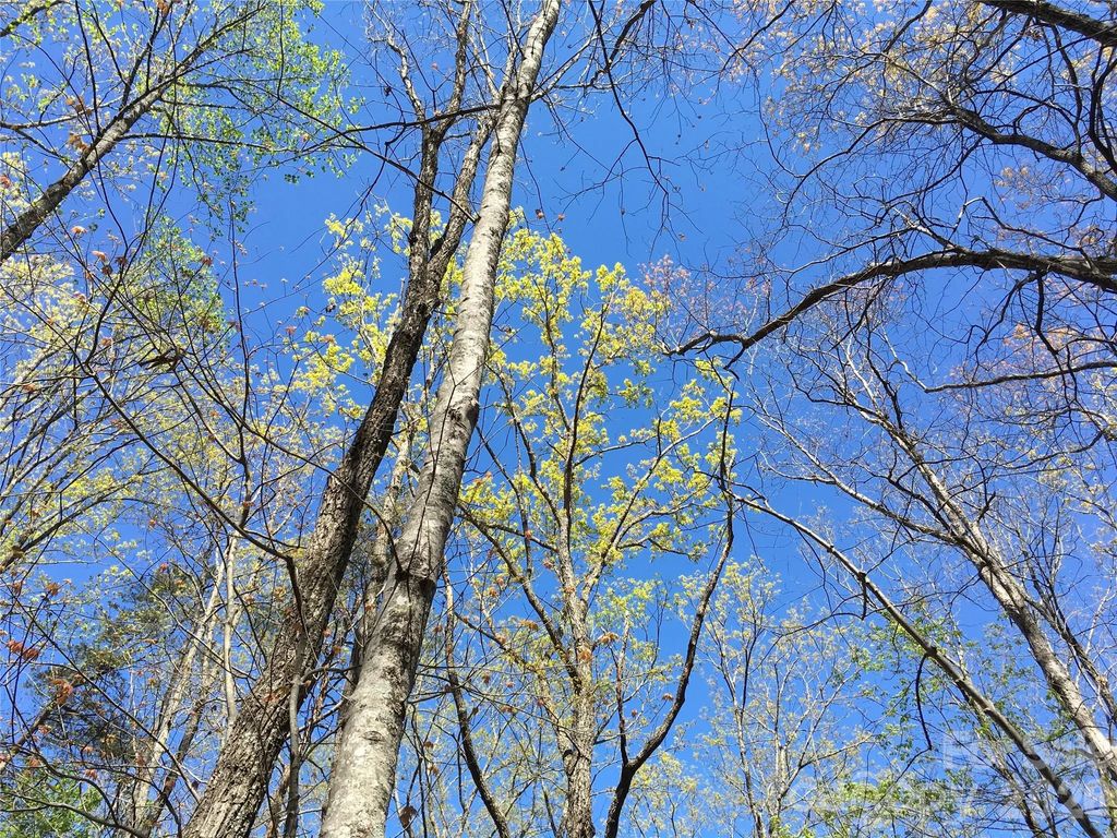 00 Lytle Mountain Road, Marion
