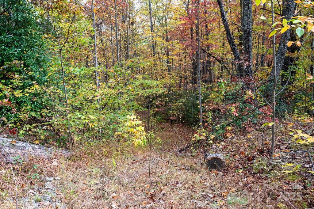 4b Lower Flat Creek Road, Black Mountain