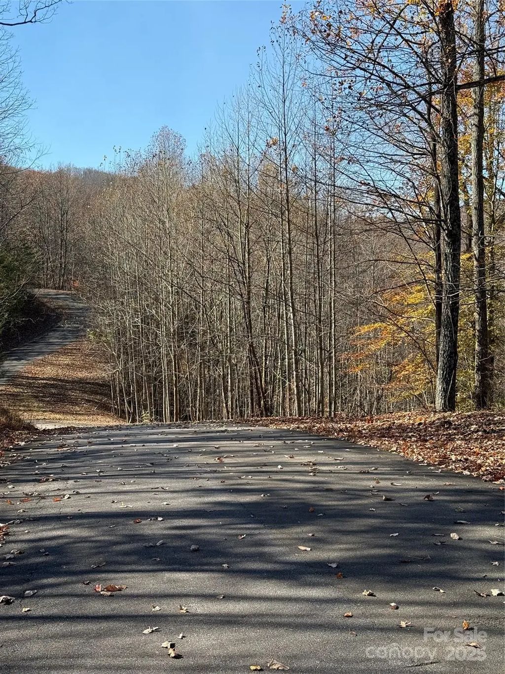 V/l Lot 72 & 170 Black Lark Drive, Marion