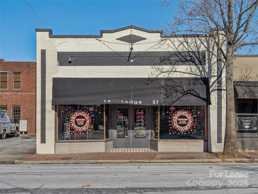 14 Lodge Street, Asheville