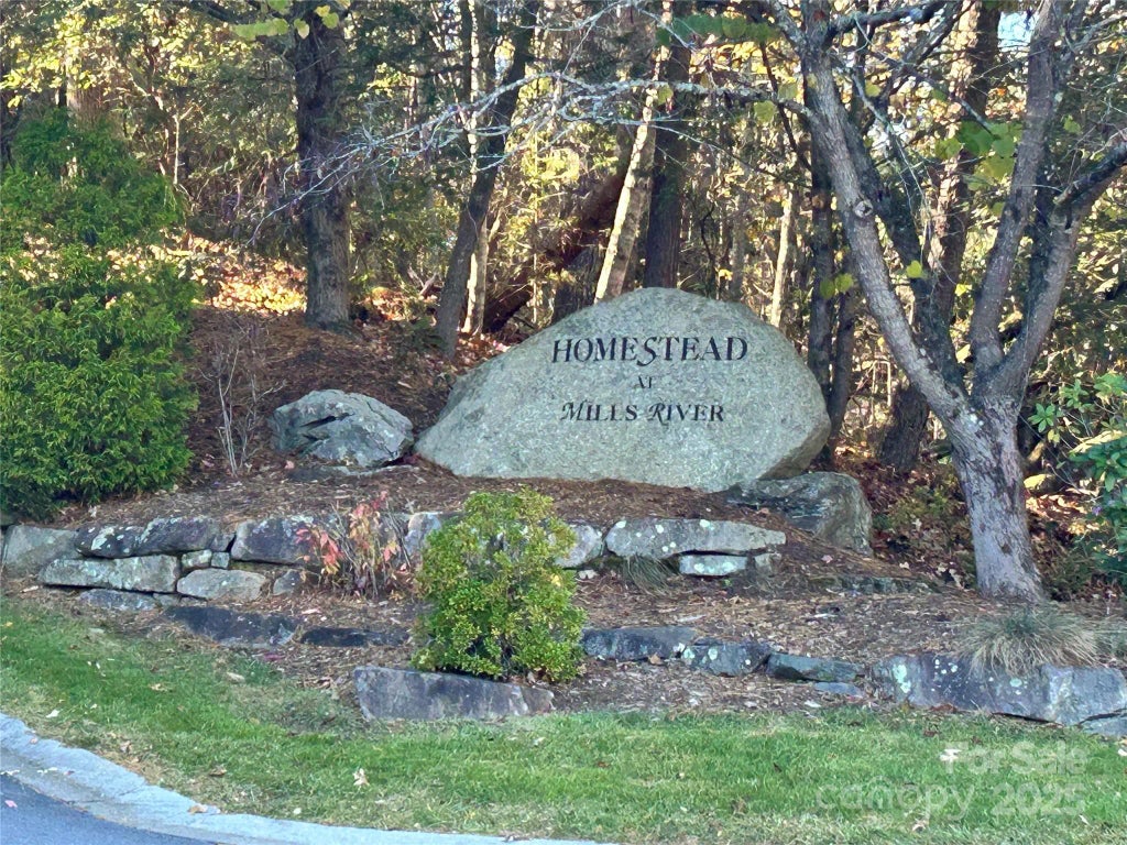 1114 Mills River Way, Horse Shoe