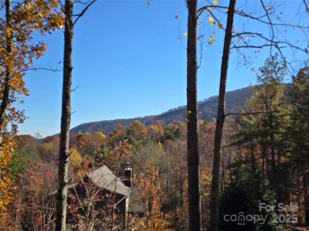 295 S Feather Falls Trail 50, Black Mountain