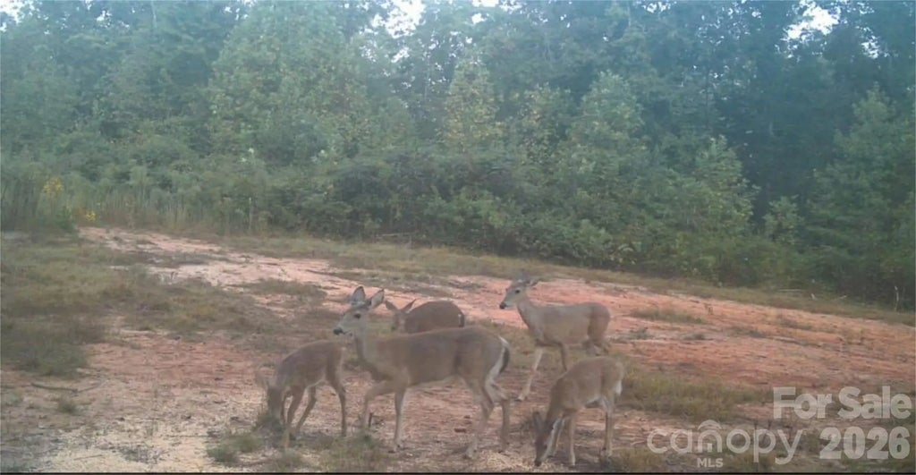 4204 Bennett Road, Morganton