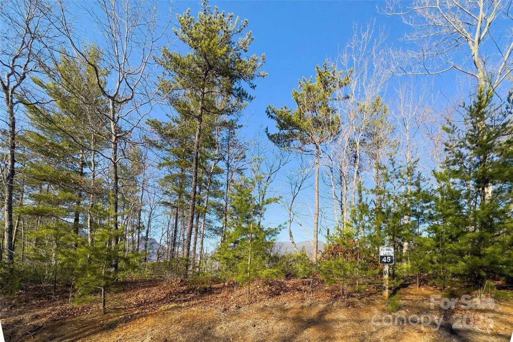 Lot #45 Fox Ridge Trail, Marion