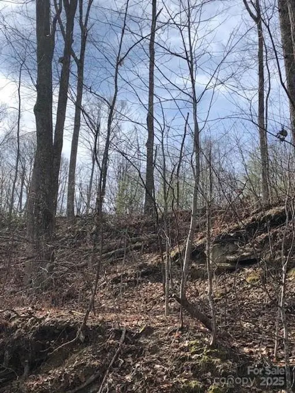 000 Marshall Ridge Road 79, Hendersonville