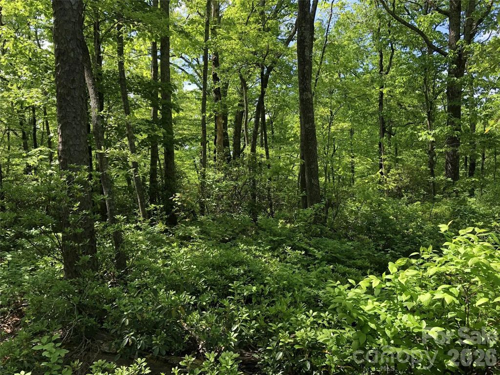 00 Millard Crossing 17, Hendersonville