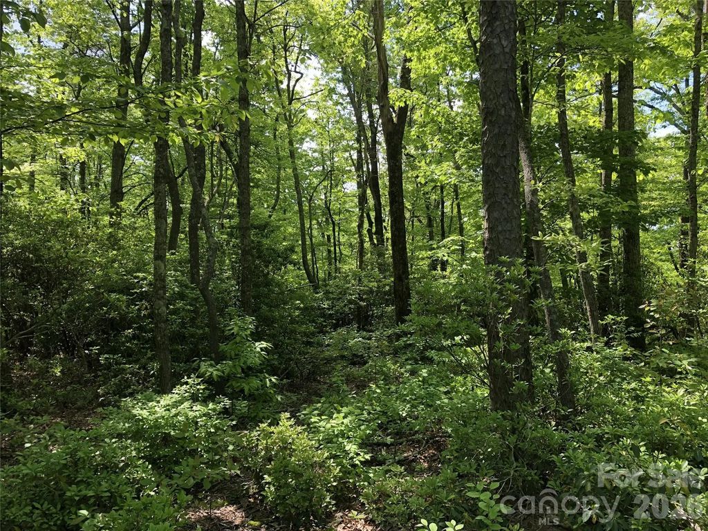 000 Millard Crossing 18, Hendersonville