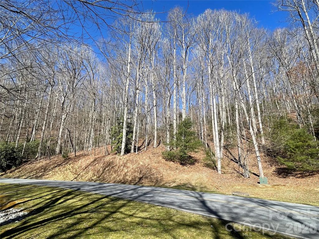 00 Chattooga Run 292r, Hendersonville