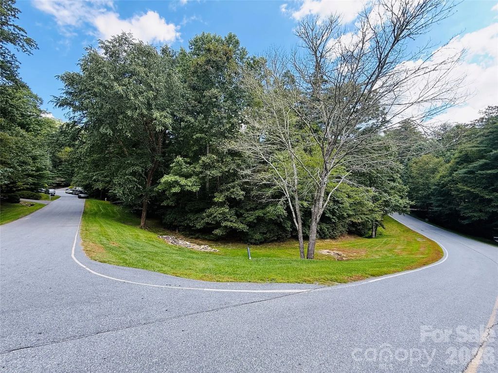 20 Prickly Briar Road, Hendersonville
