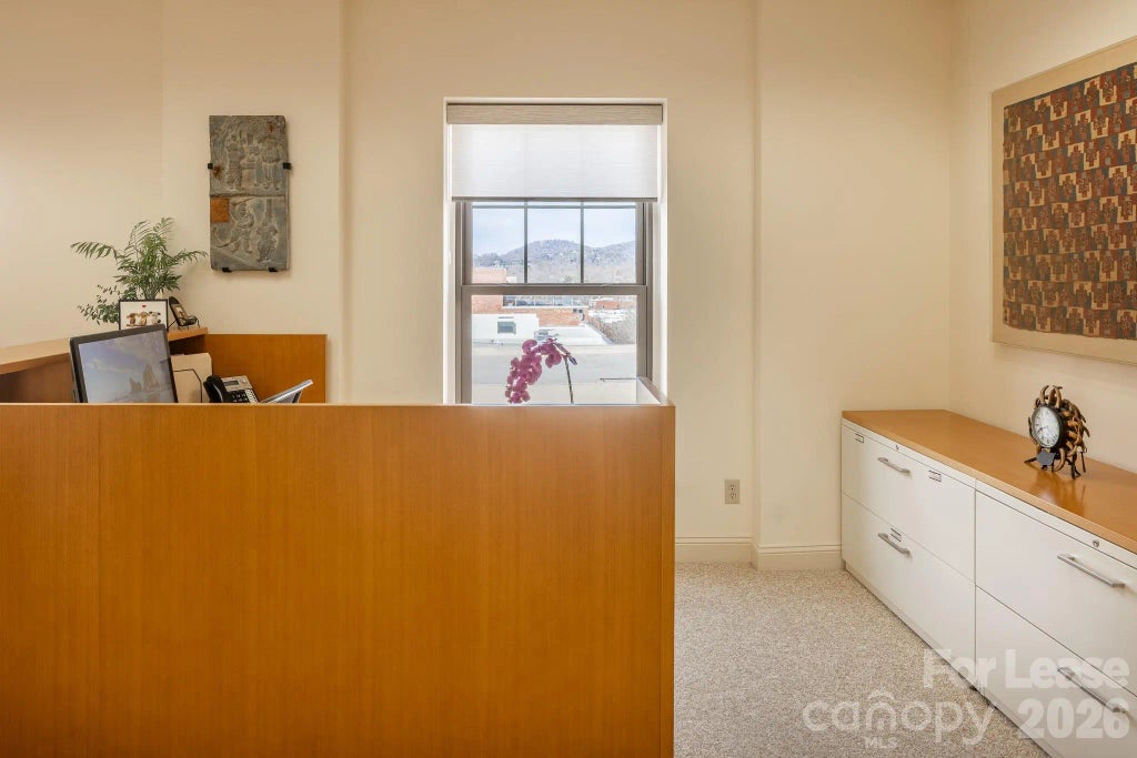 56 College Street 301, Asheville