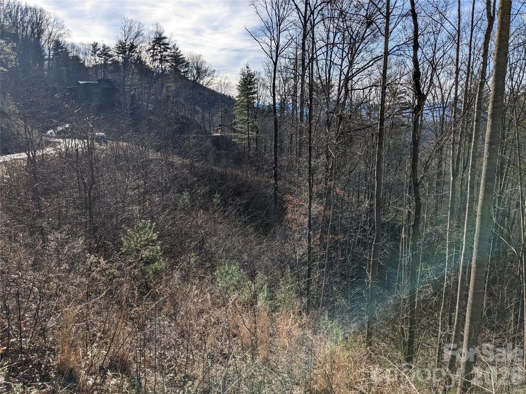 27 Bent Branch Lane 10, Asheville