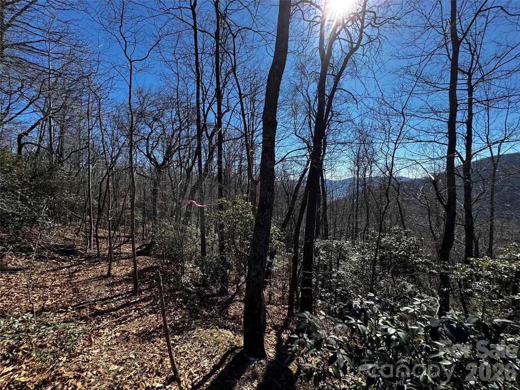 Tbd Acacia Court 936, Black Mountain