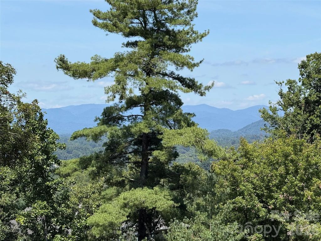 44 Leisure Mountain Road, Asheville