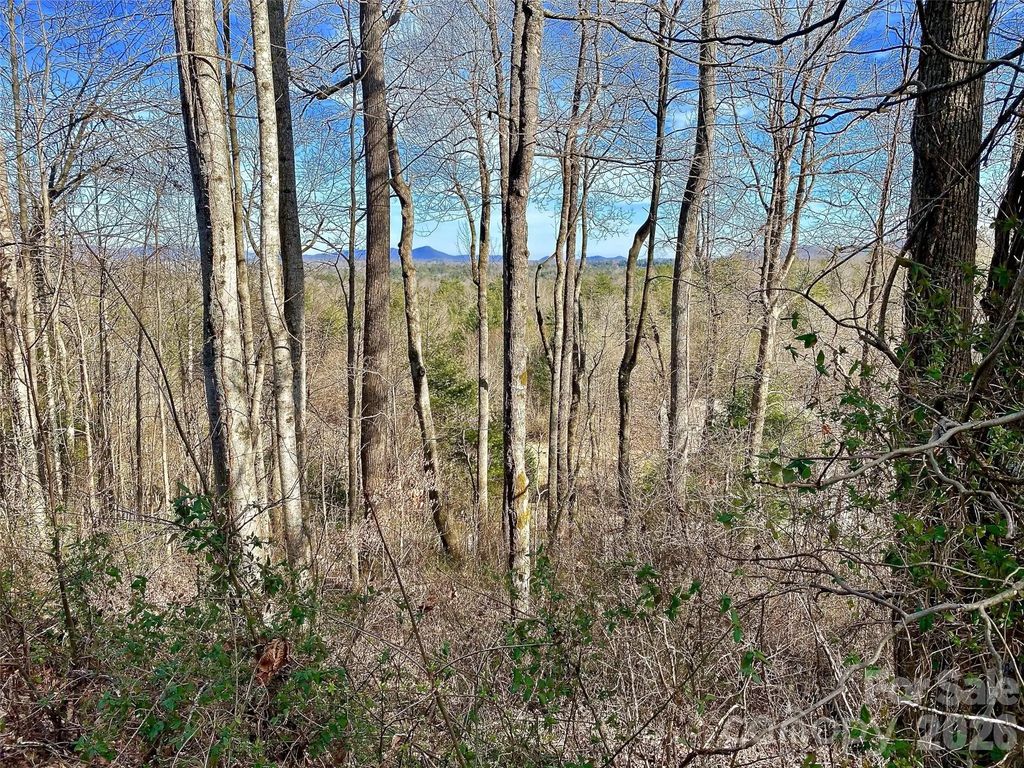 174 High Road Overlook None 24, Hendersonville