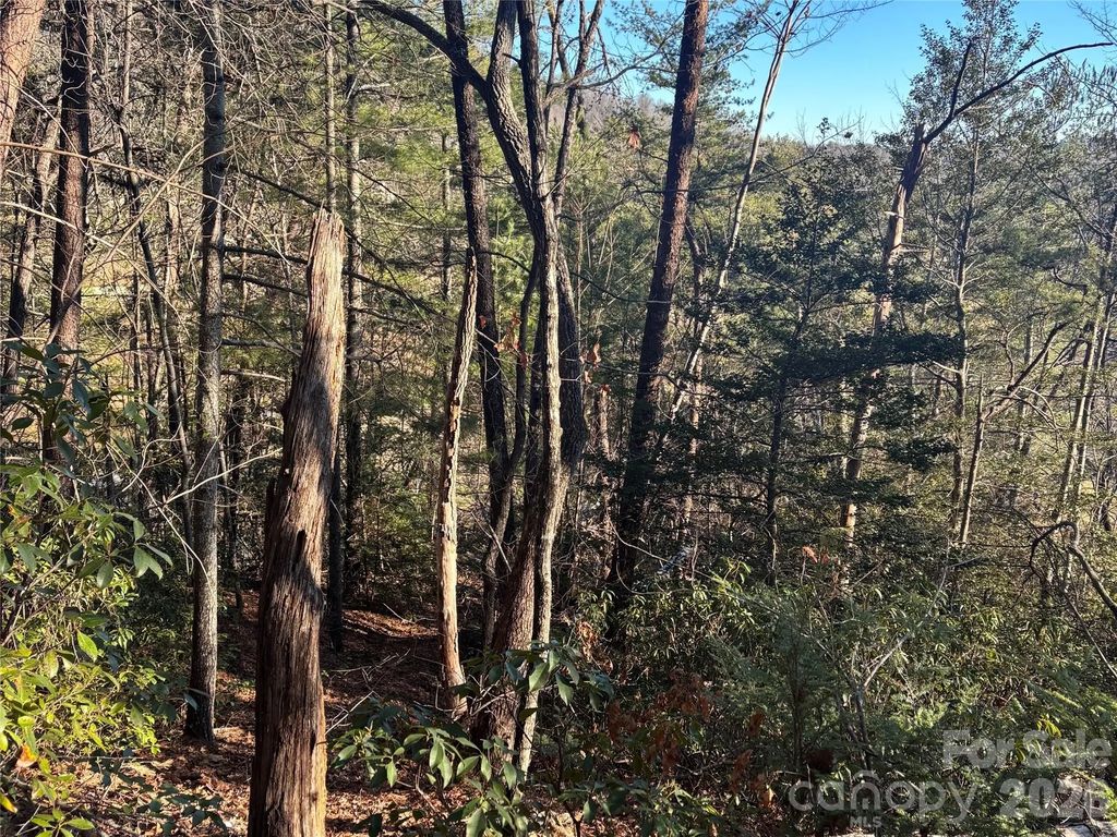 Lot 20 Nicklaus Lane, Lake Lure