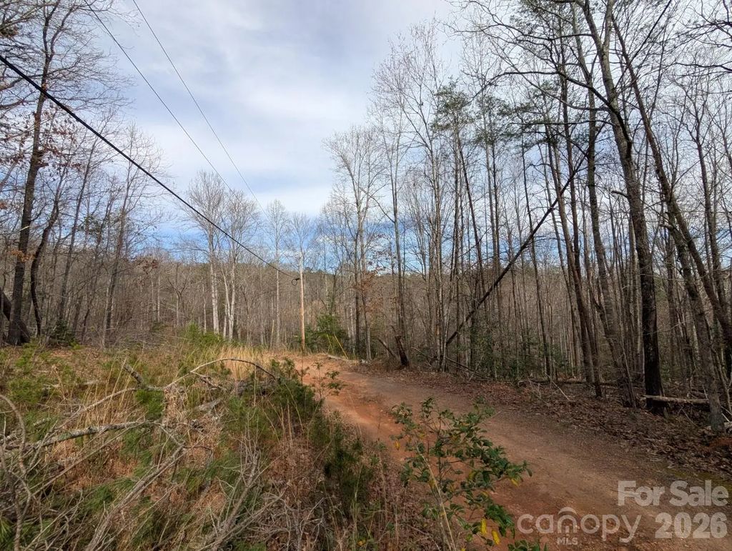 4960 Singleton Drive, Morganton