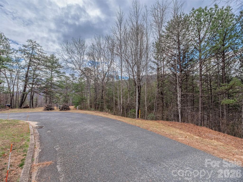 102 Trillium Lane #c-3, Black Mountain