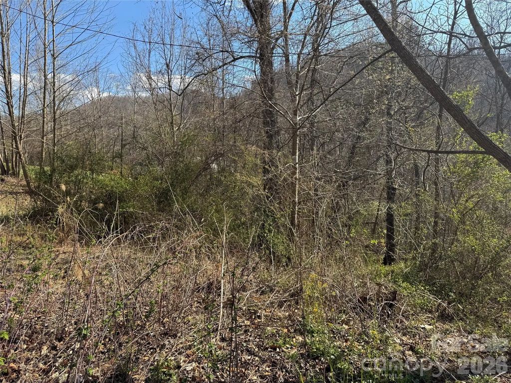 9999 Ox Creek Road, Weaverville