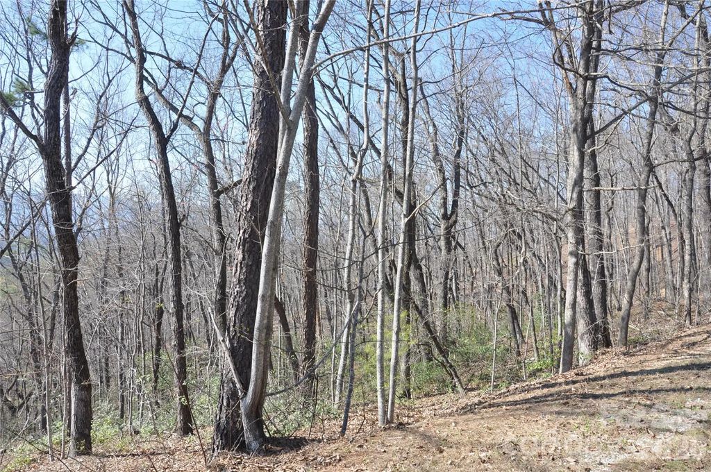 Tbd Mountain Crest Drive S 41, Marion